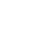 pdf-icon